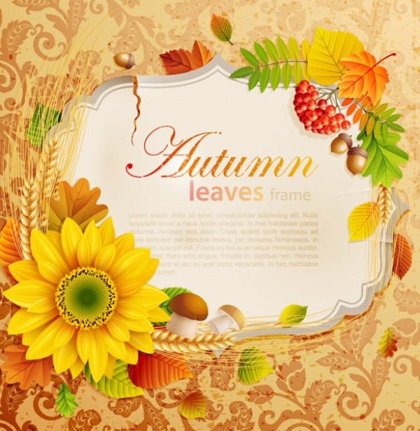 wheat web wallpaper vintage vector unique ultimate ui elements sunflower stylish quality pack original orange new nature modern leaves leaf interface illustration high quality high detail hi-res HD graphic fresh free download free frame elements download detailed design creative berries autumn acorns 