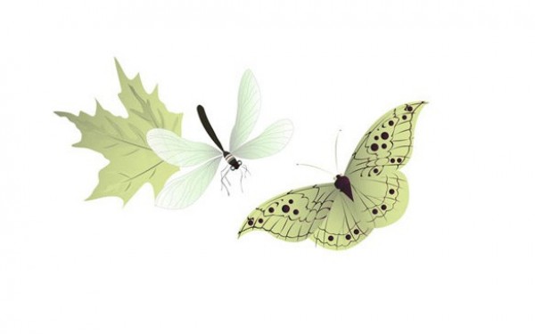 web vector unique stylish quality original new nature leaf illustrator high quality green graphic fresh free download free dragonfly download design delicate creative butterfly 