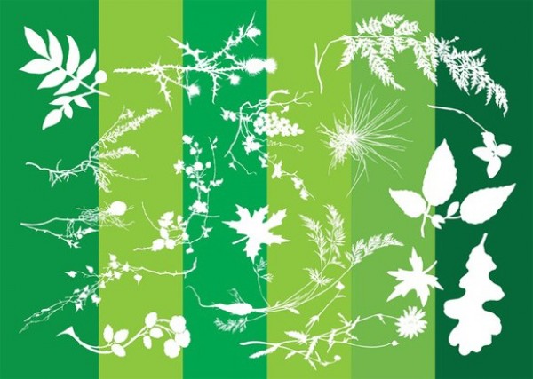 web vector unique ui elements thistle stylish silhouette quality plants original new nature leaves leaf illustrator high quality green graphic fresh free download free floral download design creative background abstract 