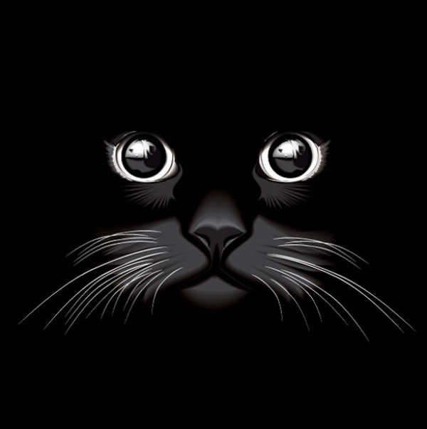 whiskers web vector unique stylish quality original illustrator high quality graphic fresh free download free eyes EPS download design creative cat face cat eyes black cat 