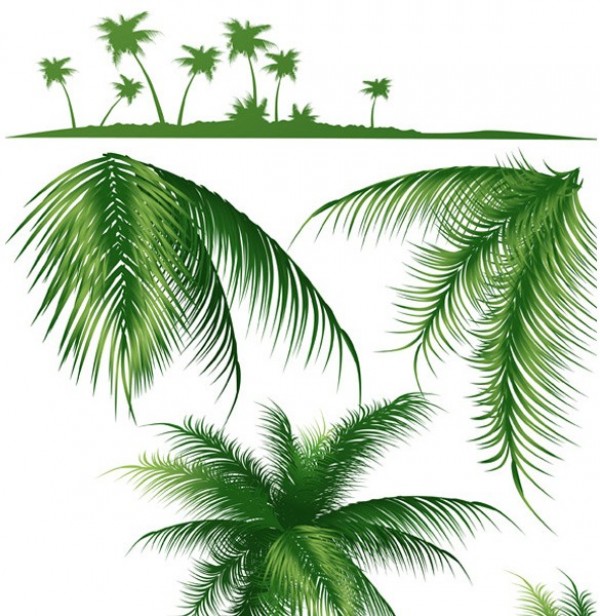 web vector unique ui elements tropical silhouette tree stylish quality palms palm tree palm silhouette palm branches original new interface illustrator high quality hi-res HD graphic fresh free download free EPS elements download detailed design creative branches 