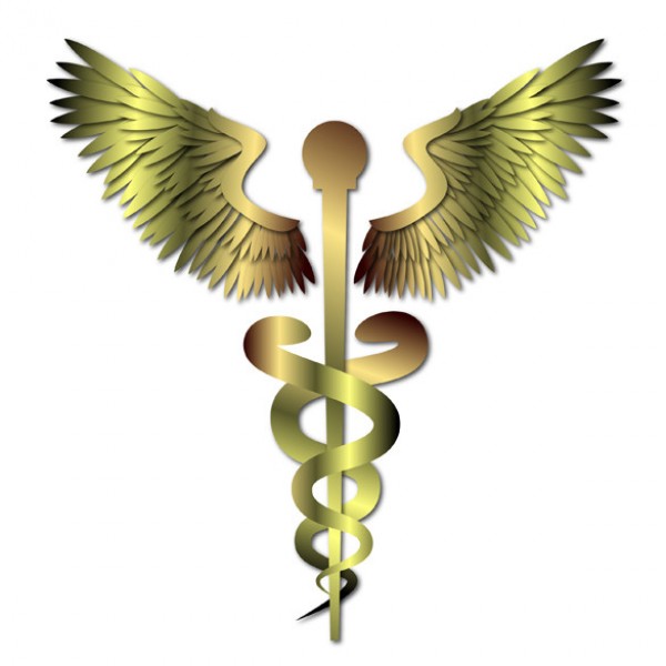 wing symbol sign metal medical help healtcare golden charm Caduceus 