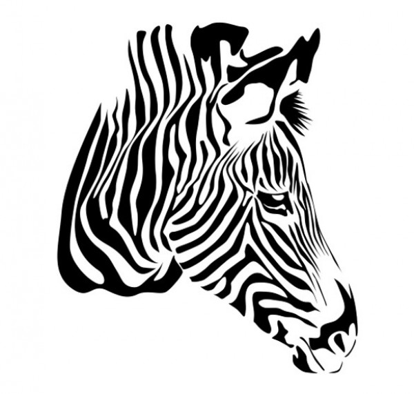 zebra web vector unique ui elements stylish quality profile original new interface illustrator high quality hi-res head HD graphic fresh free download free EPS elements download detailed design creative cdr black and white AI 