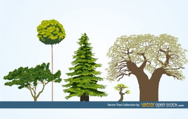 web vector unique ui elements trees stylish set quality original old tree oak new nature natural trees interface illustrator high quality hi-res HD green graphic fresh free download free evergreen elements ecology eco download detailed design deciduous creative bonsai AI abstract 