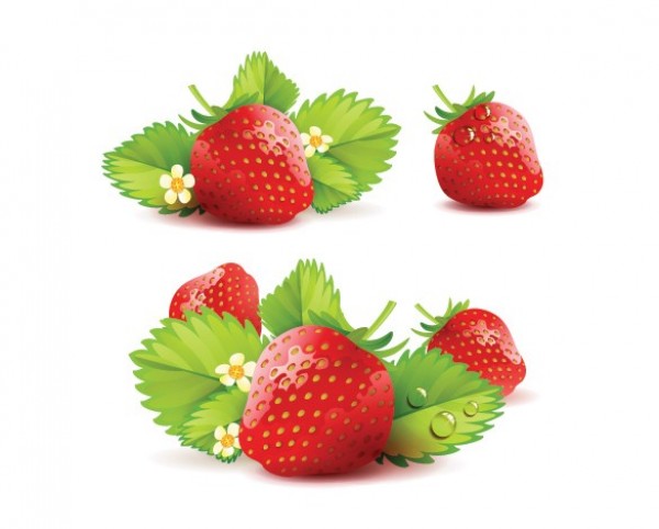 web vector unique ui elements stylish strawberries red quality original new juicy strawberries interface illustrator illustration high quality hi-res HD graphic fruit fresh free download free elements download detailed design creative 