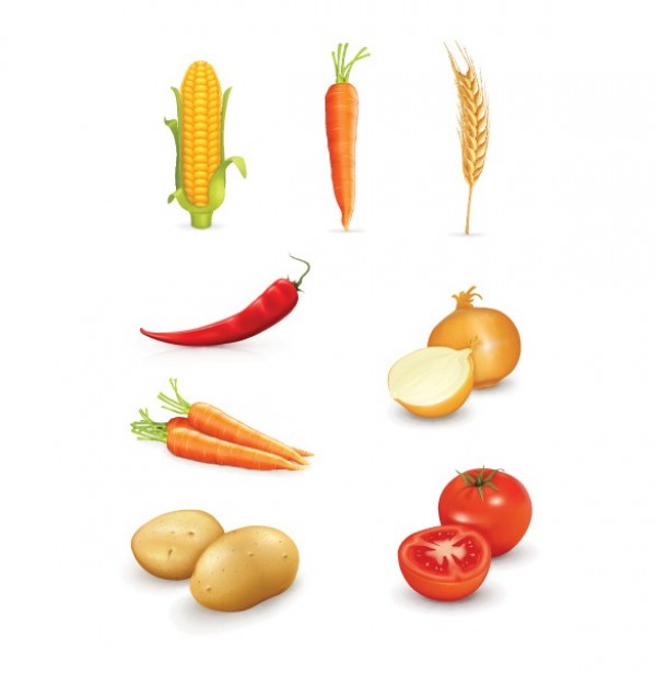 wheat web veggies vegetables vector unique ui elements tomatoes stylish set quality potatoes pepper original onion new mixed interface illustrator icons high quality hi-res HD harvest graphic fresh free download free elements download detailed design creative corn chili pepper chili carrots 