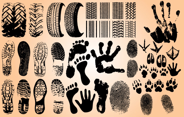 vector tires tire track prints paws paw print hand print grunge free download free footprint foot feet boot track bird claws 