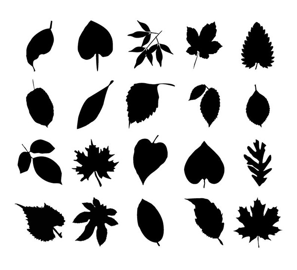 vector silhouette set plant leaves leaf silhouette leaf free download free floral 