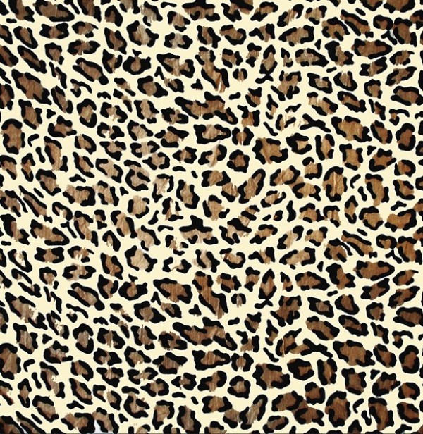 wild cat pattern web unique stylish spotted simple quality pattern original new modern leopard jpg hi-res HD fresh free download free download design creative clean cheetah background animal print 