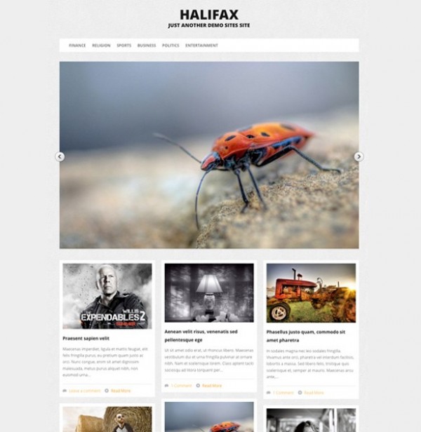 wp wordpress website web unique ui elements ui theme template stylish responsive quality portfolio php photography original options page new modern masonry layout interface html hi-res HD halifax fresh free download free elements download detailed design css creative clean 