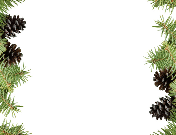 ui elements tree pine cones pine branches pine free download free frame download decoration christmas border 