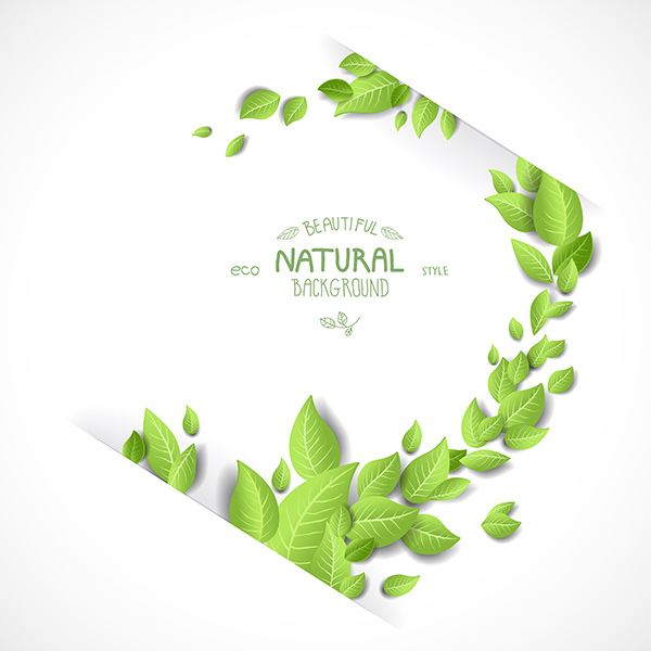 tree organic nature leaves green free frame eco branch background 