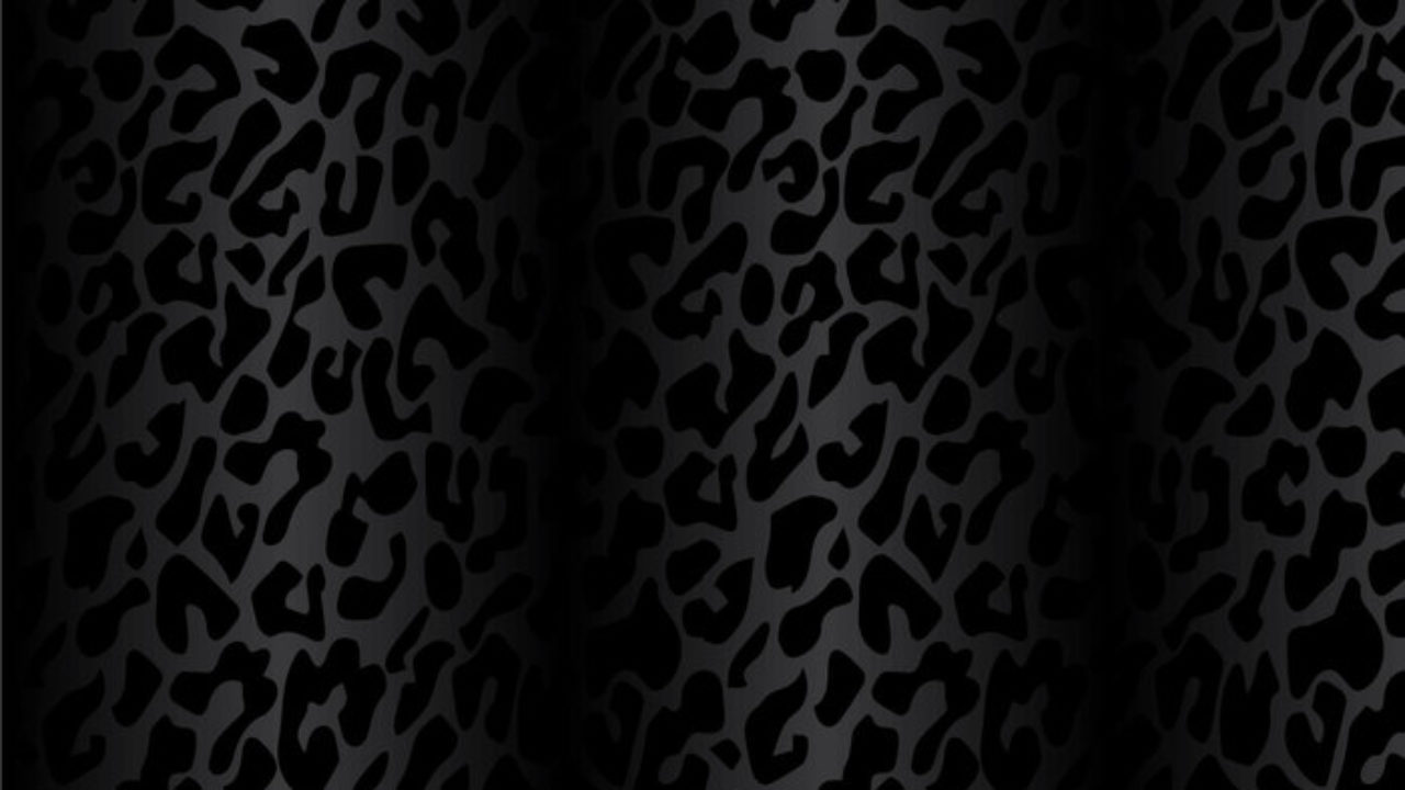 Wallpaper Brown and Black Leopard Textile Background  Download Free Image