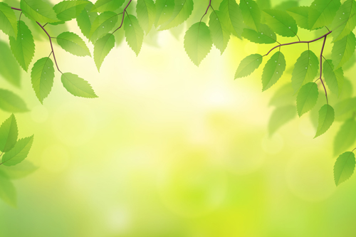 Spring sunlight with green leaves vector background 05 - WeLoveSoLo