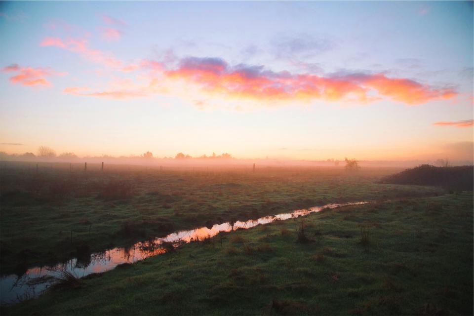 sunset, sky, clouds, grass, fields, water, grass, fog, rural
