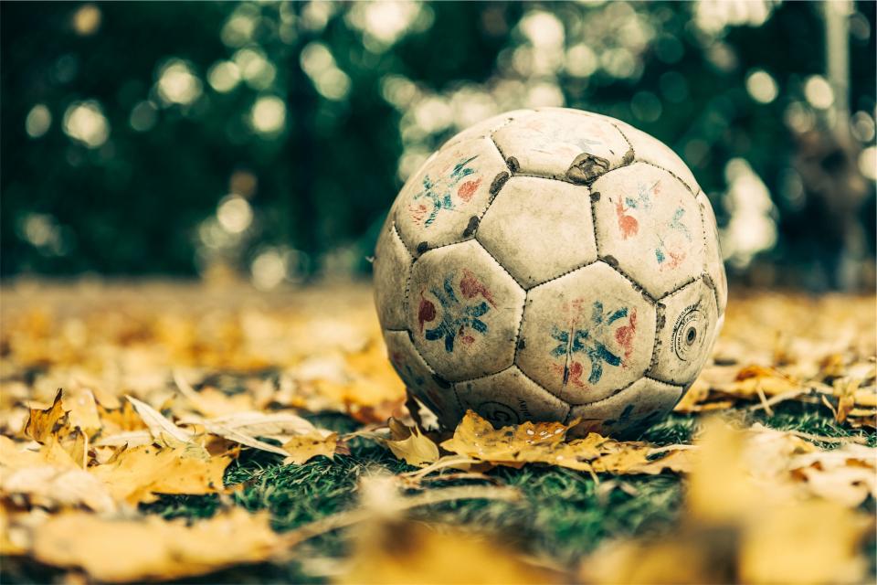 soccer, ball, sports, leaves, grass, ground