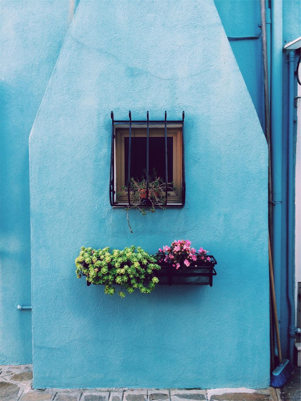 window wall pots house flowers blue basket bars 