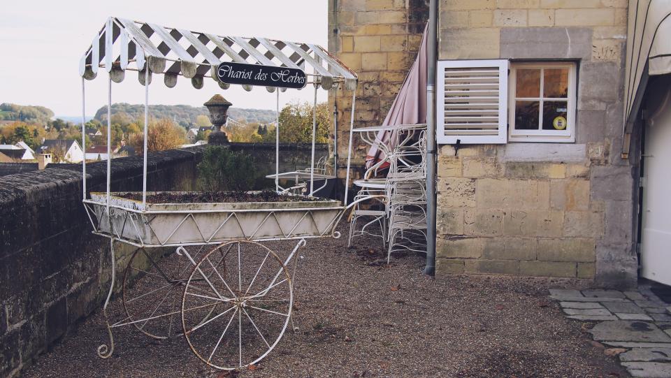 vintage village town stones soil plants house chariot cart  