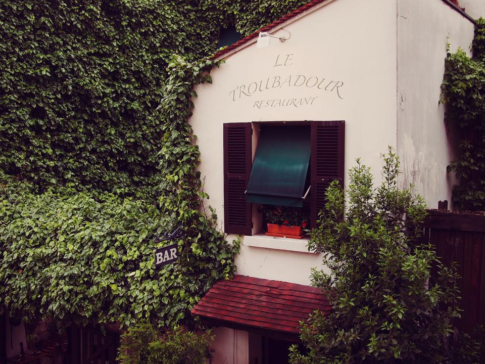 Le Troubadour, restaurant, France, vines, leaves, window, shutters