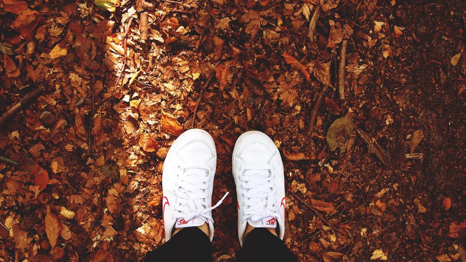 white sneakers shoes nike+ leaves Fall autumn 