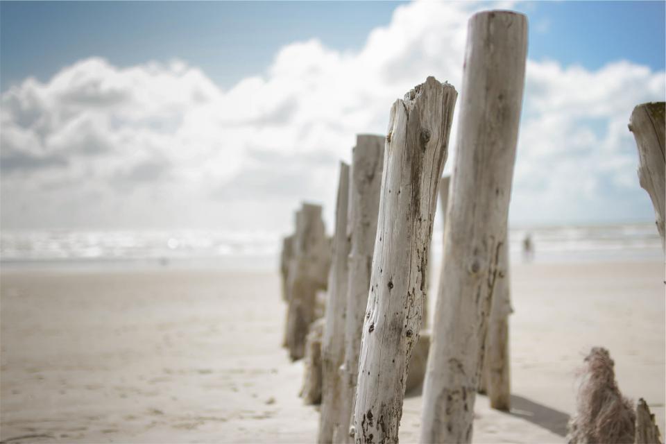 wood sand posts beach 