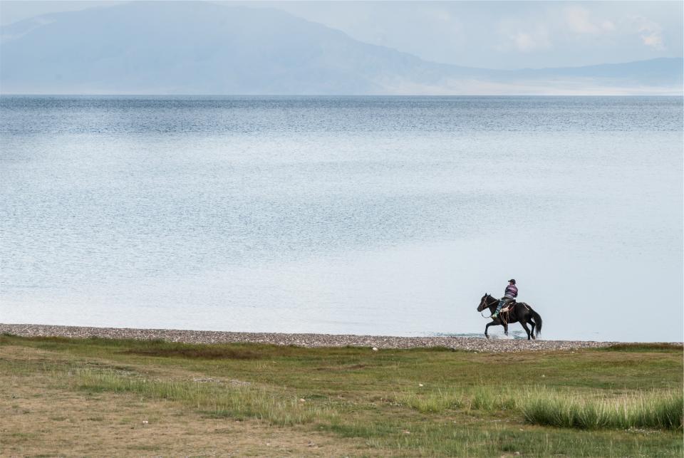 water man lake horsebackriding guy grass animal 