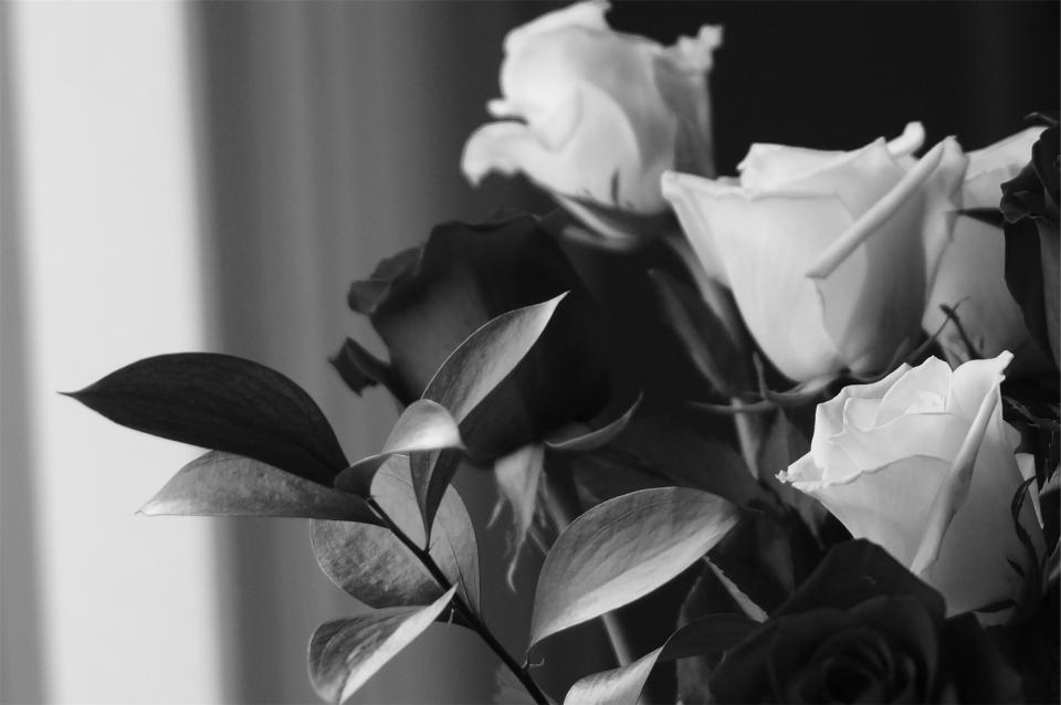 roses bouquet blackandwhite 