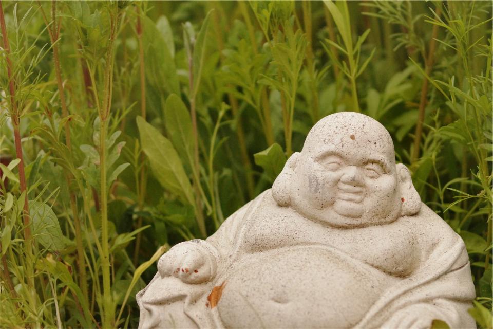 statue sculpture religion plants field fat culture Buddhist Buddhism Buddha 