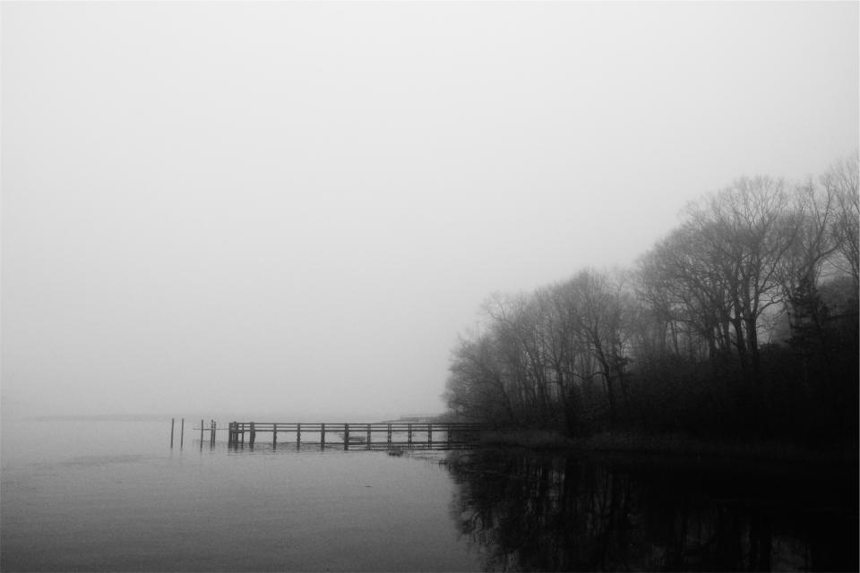 lake, water, dock, trees, black and white