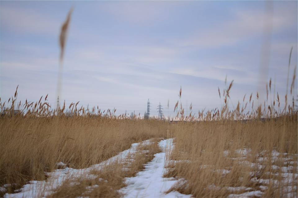 winter snow sky powerlines plants fields 