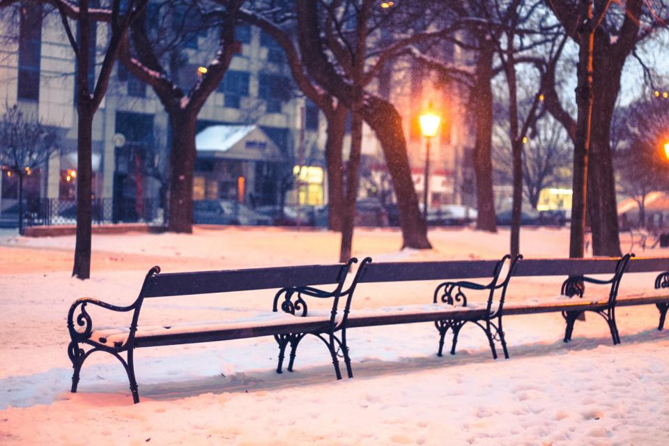 park, benches, snow, winter, trees, lamp posts, lights, city, night