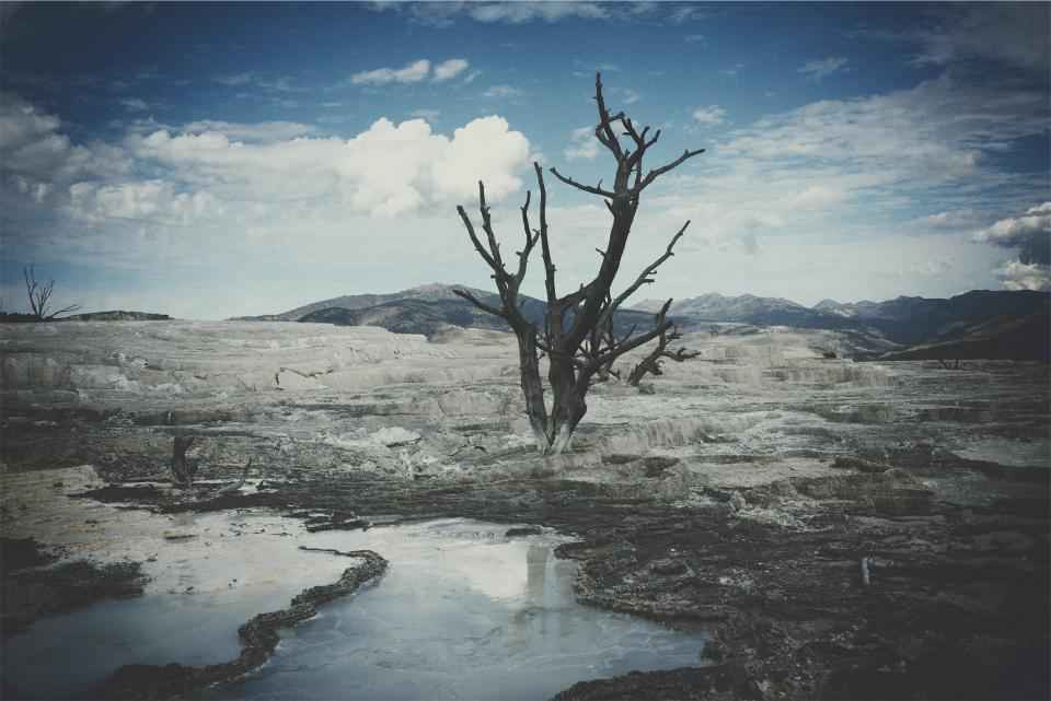 landscape, tree, branches, water, puddles, rocks, ground, mountains, sky, clouds, nature