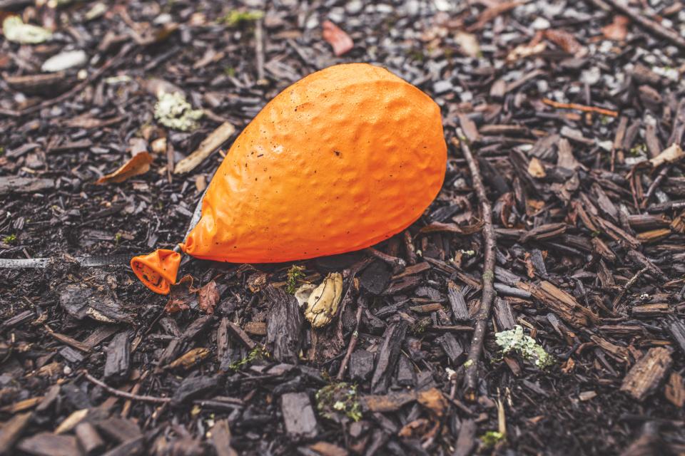 sticks orange ground deflated balloon 