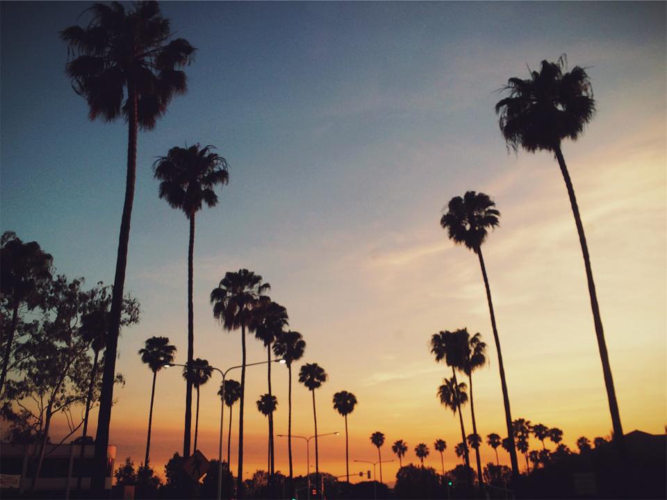 sunset streets sky palmtrees 