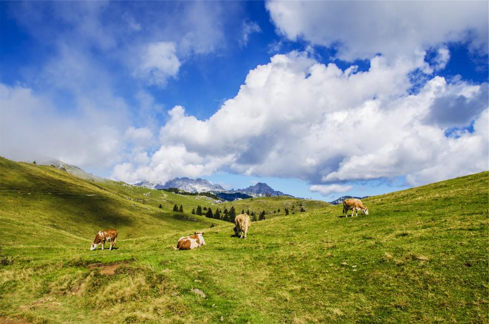 sky nature mountains landscape hills green grass fields cows clouds blue animals 