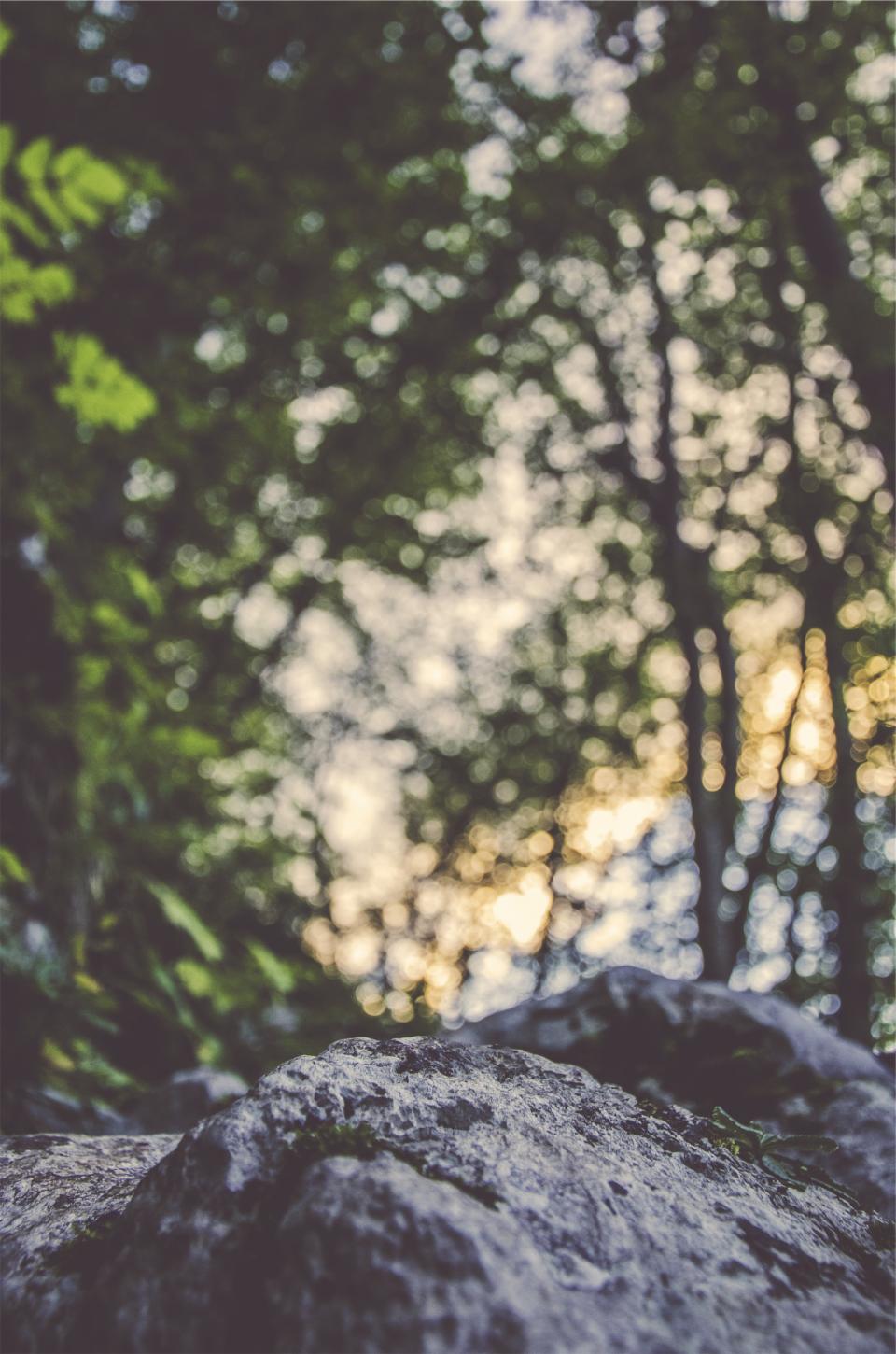 rocks, boulders, forest, blurry