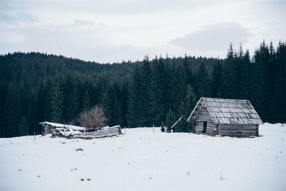 hut, shed, winter, snow, cold, trees, forest, woods, nature
