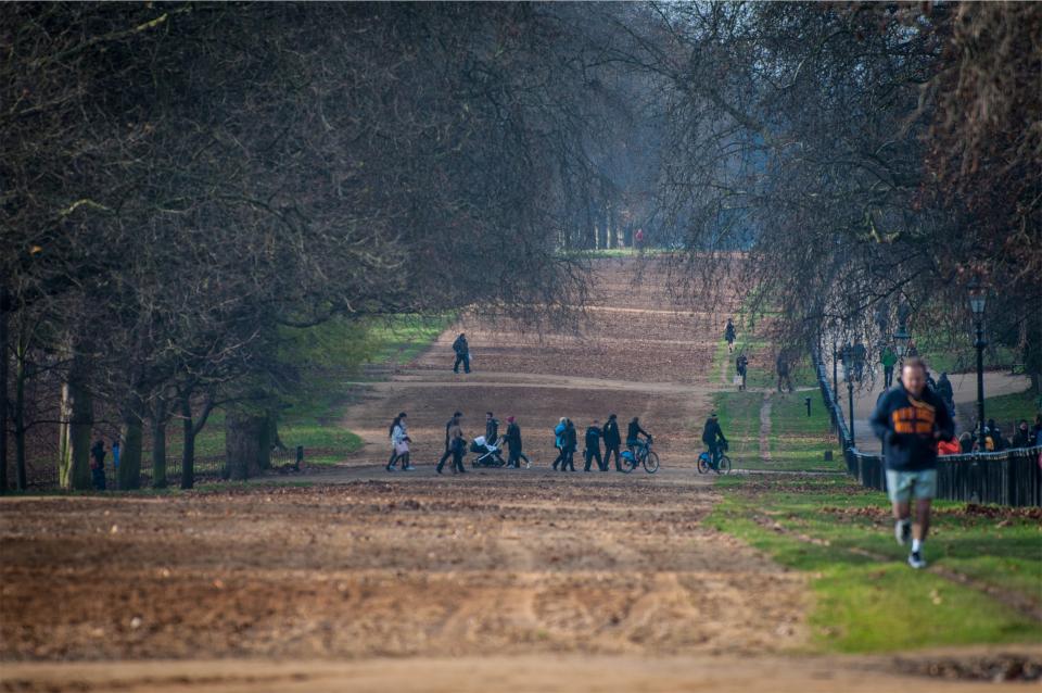 park, people, runner, running, fitness, exercise, trees, grass, dirt, leaves