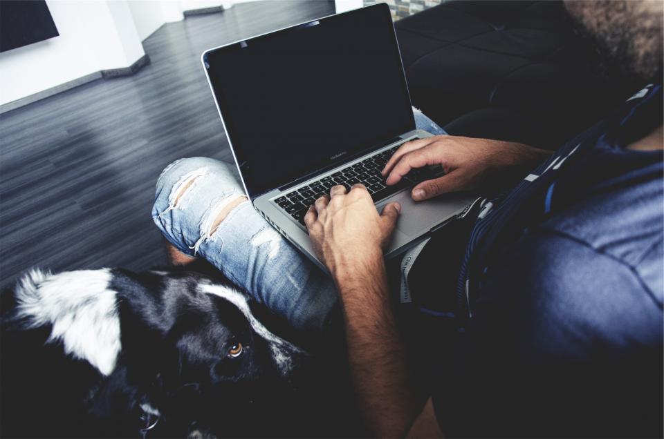 working typing technology sitting pet people man MacBook laptop hands guy dog computer business apple animal 