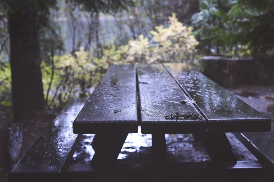 wood wet raining picnictable 