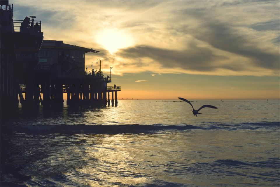 wings waves sunset sky shore sea pier people ocean horizon flying dusk dock clouds birds 