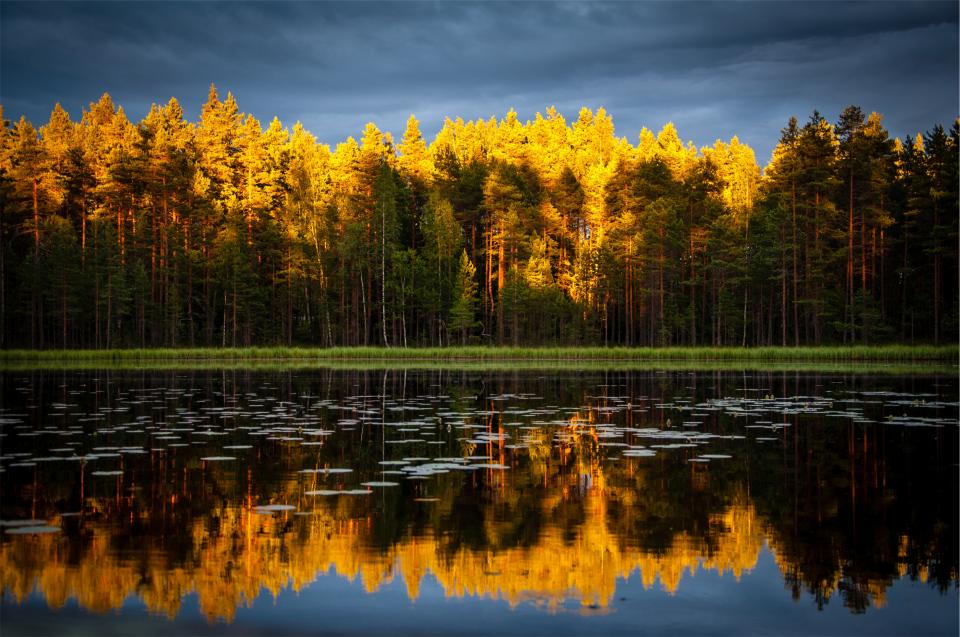 water trees reflection lake forest dark cloudy clouds autumn 