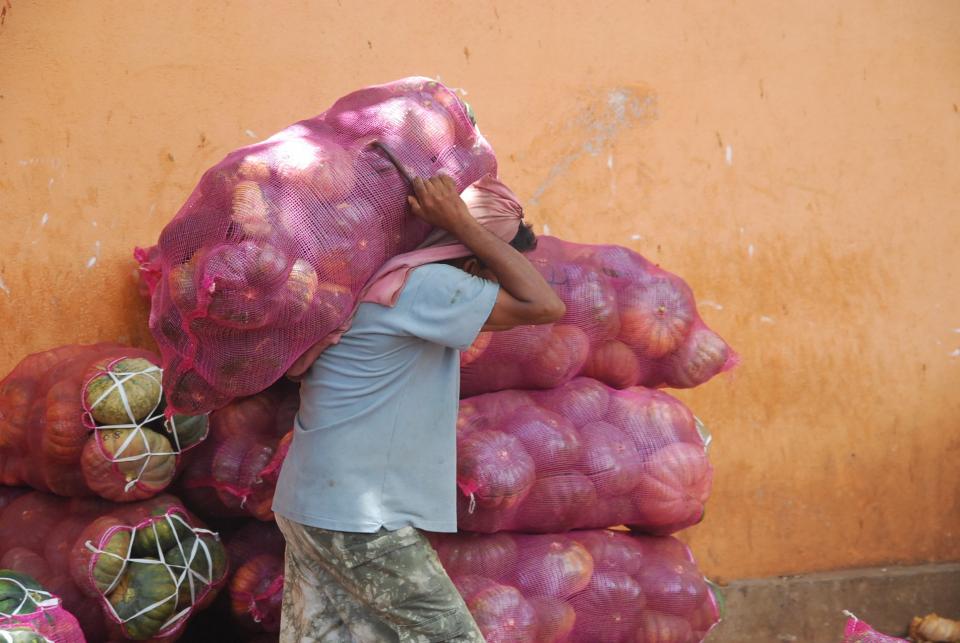 working worker vegetables sac labour bag 