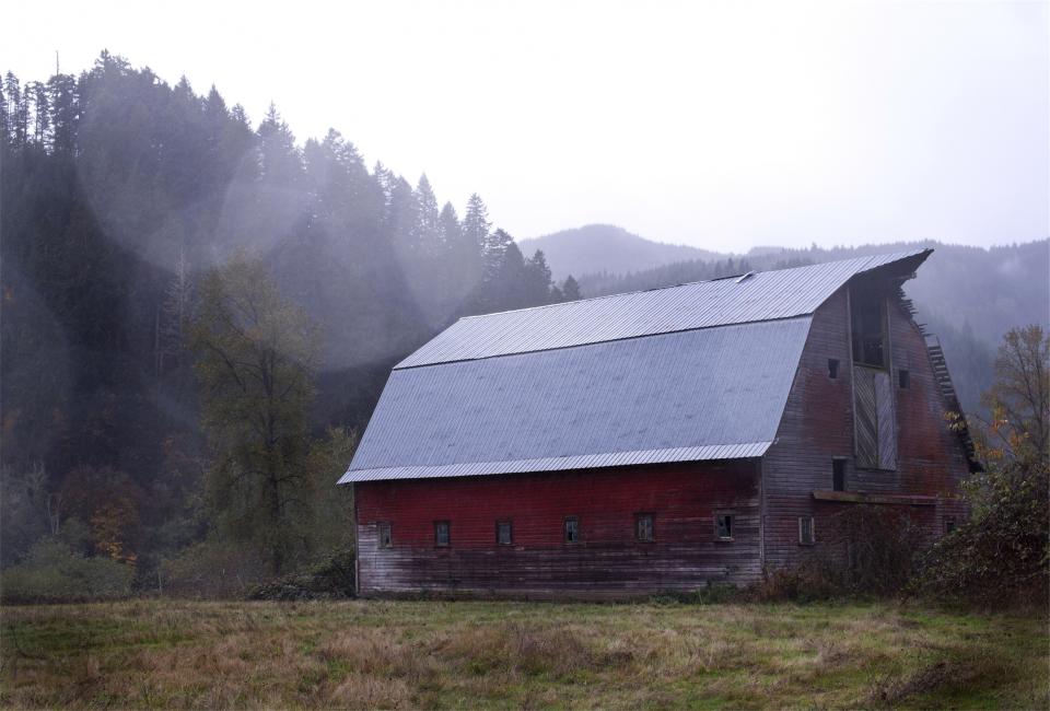 barn, shed, wood, siding, panels, grass, trees, rural