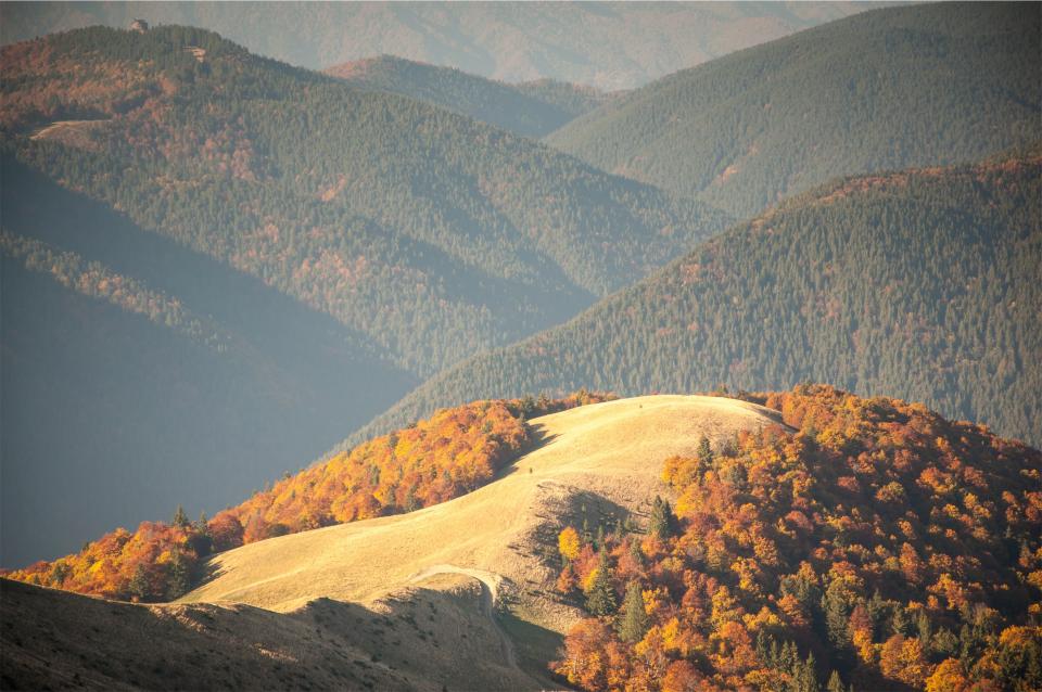 mountains, hills, trees, sunrise