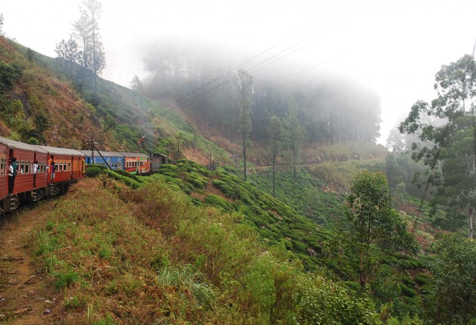 trees travel transportation train tracks railway railroad people fog bushes 