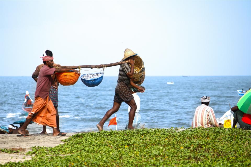 working water people labour fish beach baskets 