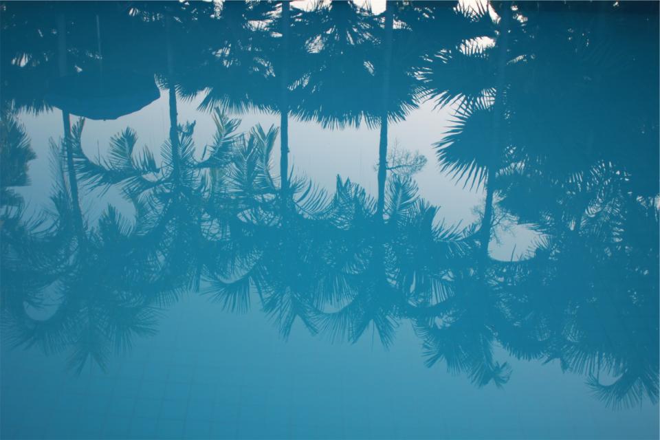 water reflection palmtrees blue 