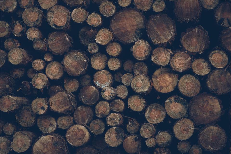 wood lumber logs 