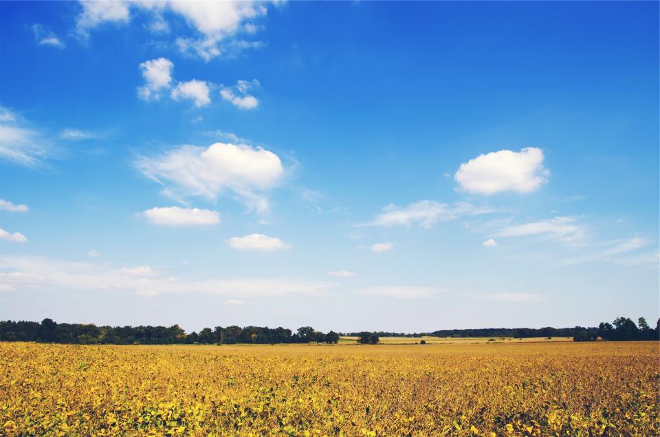 trees sky rural nature landscape fields country clouds blue 